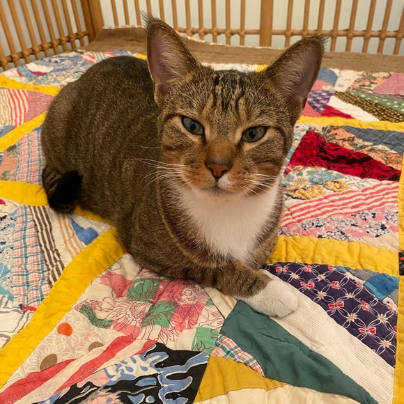 Meet your Posher, Holly - Picture 2 of 15